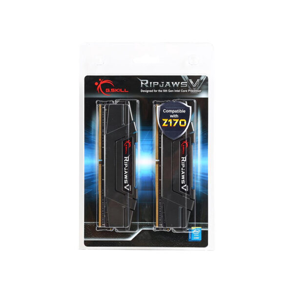 G.Skill RipjawsV F4-3200C16D-16GVGB RAM (2 x 8GB)