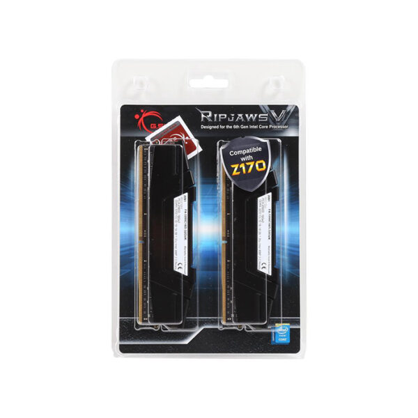 G.Skill RipjawsV F4-3200C16D-32GVK RAM (2 x 16GB)