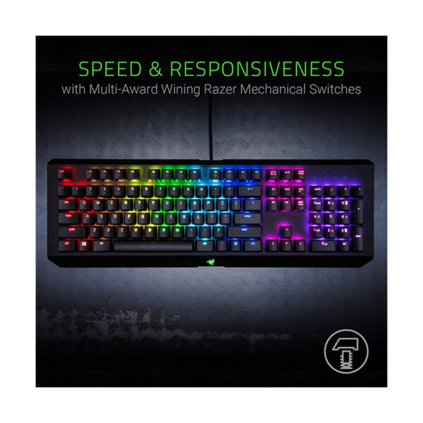 Razer Blackwidow X Chroma Mechanical Gaming Keyboard Tournament Edition (RZ03-01770100-R3M1)