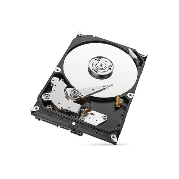 Seagate 1Tb 5900 Rpm Skyhawk Surveillance Desktop Internal Hard Drive (St1000Vx005)