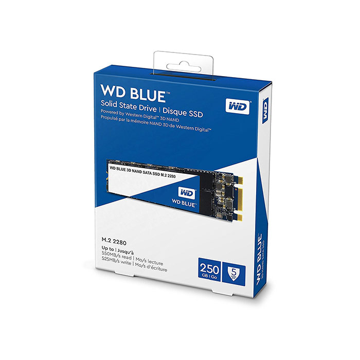 WESTERN DIGITAL Blue 3D NAND 250GB M.2 Internal SSD