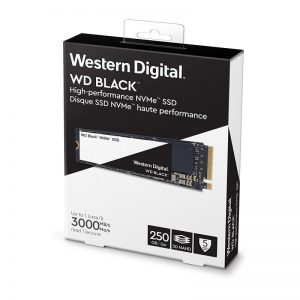 WD 250GB M.2 2280 PC SSD - BLACK