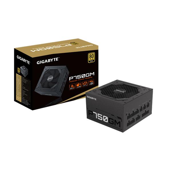 GIGABYTE P750GM 80 Plus Gold SMPS (GP-P750GM)