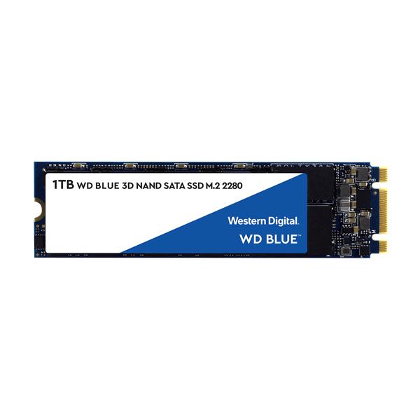 WESTERN DIGITAL BLUE 1TB M.2 INTERNAL SSD (WDS100T2B0B)