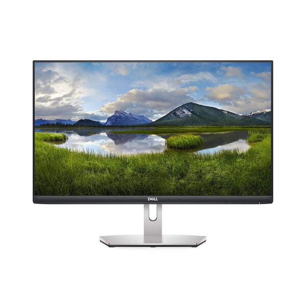 DELL S2421HN 24 INCH IN-PLANE SWITCHING (IPS) FULL HD AMD FREE SYNC MONITOR