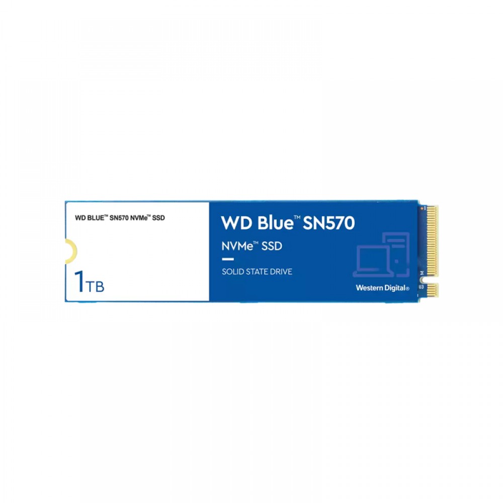 WD BLUE SN570 1TB NVME M.2 INTERNAL SSD (WDS100T3B0C)