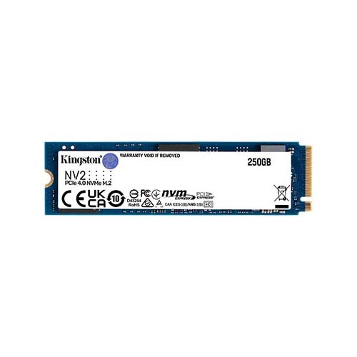 Kingston 250Gb Nv2 M.2 2280 PCIe 4.0 NVMe Internal Ssd (SNV2S/250G)