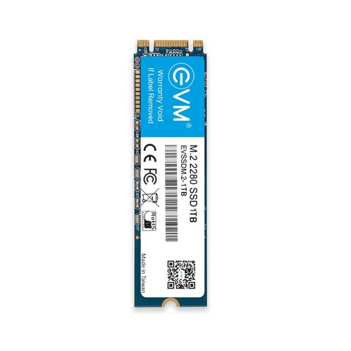 Evm 1Tb M.2 Sata Internal Ssd (EVMM2-1TB)