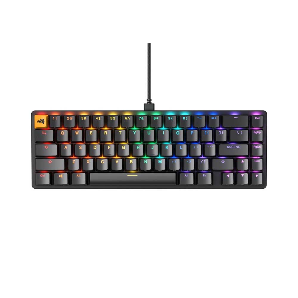 Glorious Modular Mechanical Keyboard 2 Fox Switches GMMK2 65% Rgb (Black) (GLO-GMMK2-65-FOX-B)