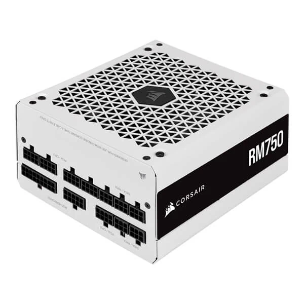 Corsair RM750 White 750 Watt 80 Plus Gold Fully Modular Power Supply (CP-9020231-IN)