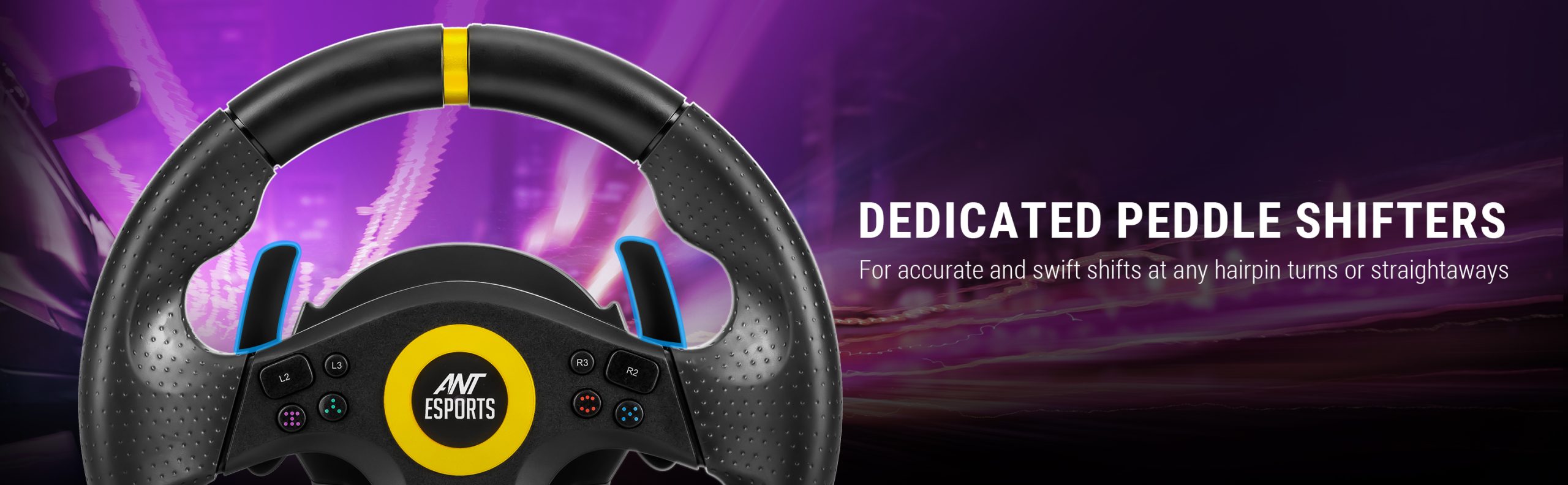 R3 Racing Wheel and Pedals